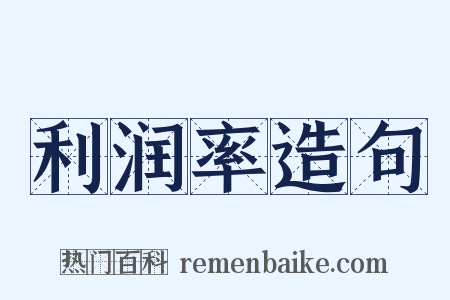 利润率造句是什么意思的图片